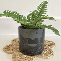 USTUDIO Bernard Bearded Face Plant Pot Large